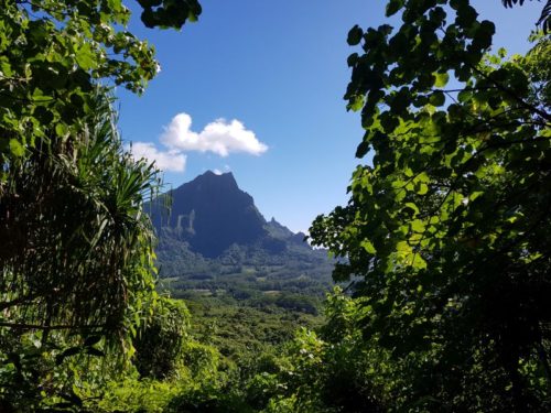 Francouzská Polynésie – Moorea