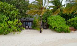 Lily Beach Resort