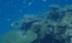 Constance Moofushi Maledives