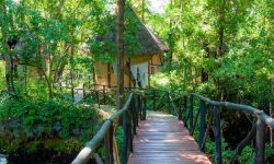 The Sands at Chale Island