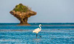 The Sands at Chale Island