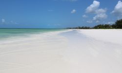 Zanzibar White Sand