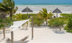 Zanzibar White Sand