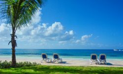 Viva Wyndham Dominicus Beach