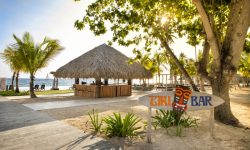 Viva Wyndham Dominicus Beach