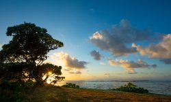 Anantara Iko Mauritius