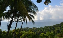 Lapa Rios Lodge