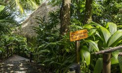 Lapa Rios Lodge