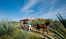 Mexiko okruh Yucatan