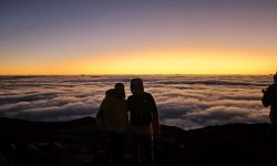 Réunion