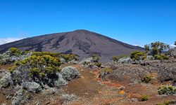 Réunion