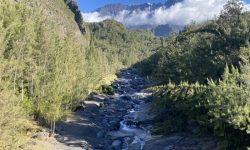 Réunion