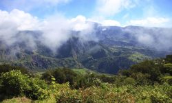 Réunion