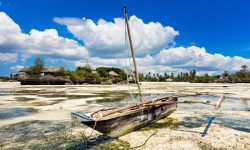 The Island Pongwe Lodge