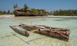 The Island Pongwe Lodge