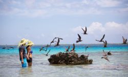 Le Tikehau by Pearl Resorts