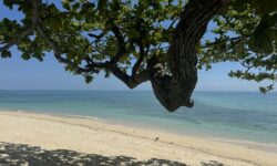 The Bawe Island