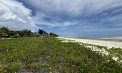 White Sand Luxury Villas