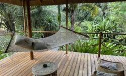 Zuri Zanzibar