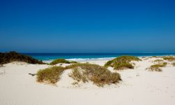 The St. Regis Saadiyat Island Resort