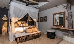 Sabi Sabi Private Game Reserve