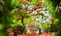 Iloha Seaview