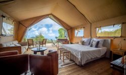 Diana Dea Lodge