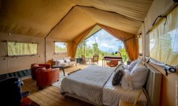 Diana Dea Lodge
