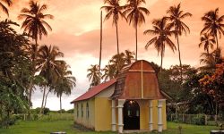 Tortuga Lodge