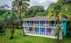 Tortuga Lodge