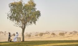 The Ritz-Carlton Ras Al Khaimah, Al Wadi Desert