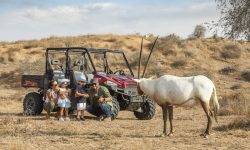 The Ritz-Carlton Ras Al Khaimah, Al Wadi Desert