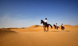 The Ritz-Carlton Ras Al Khaimah, Al Wadi Desert