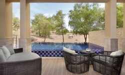 The Ritz-Carlton Ras Al Khaimah, Al Wadi Desert