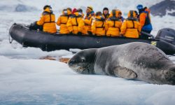 Antarktida a Arktida