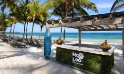 Catalonia Royal Tulum