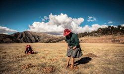 Peru