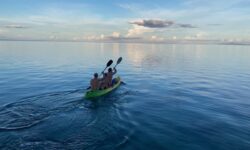 Apatoa Beach & Garden Village - Raiatea