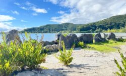 Apatoa Beach & Garden Village - Raiatea