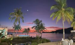 Apatoa Beach & Garden Village - Raiatea