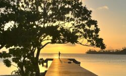 Apatoa Beach & Garden Village - Raiatea