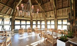 Veranda Paul et Virginie