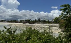 The Island Pongwe Lodge