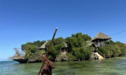 The Island Pongwe Lodge