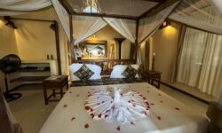 The Island Pongwe Lodge