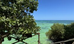 The Island Pongwe Lodge