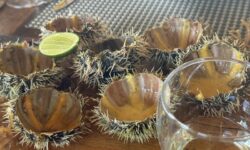 The Island Pongwe Lodge