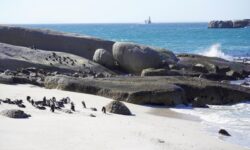 Jihoafrická republika - Boulderes Beach