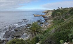 Jihoafrická republika - Hermanus
