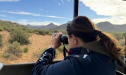 Jihoafrická republika - safari
